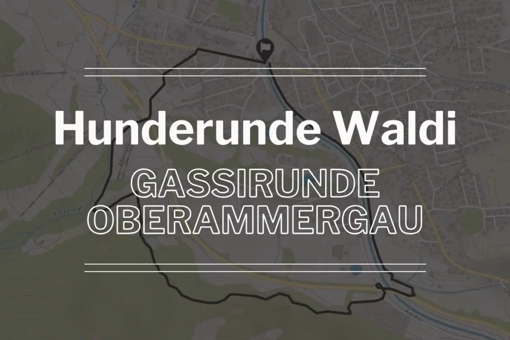 Hunderunde Waldi – Gassirunde Oberammergau